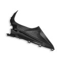 DBK Special Parts (Ducabike) Twill Carbon Fiber Infil Panels for BMW S1000RR (2020+)